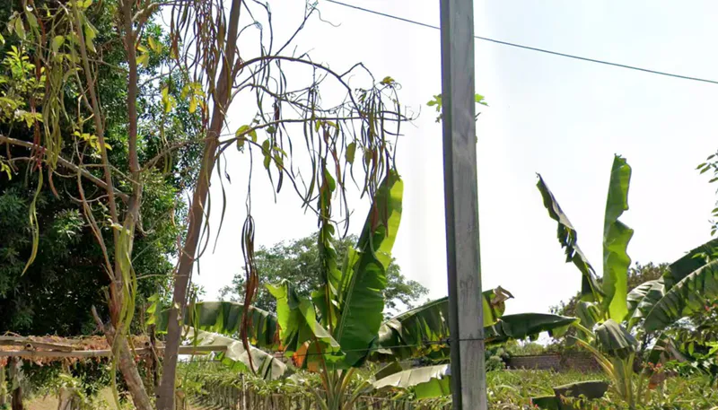 Outright 4 Acres 18 Guntas - Mokila photo 2