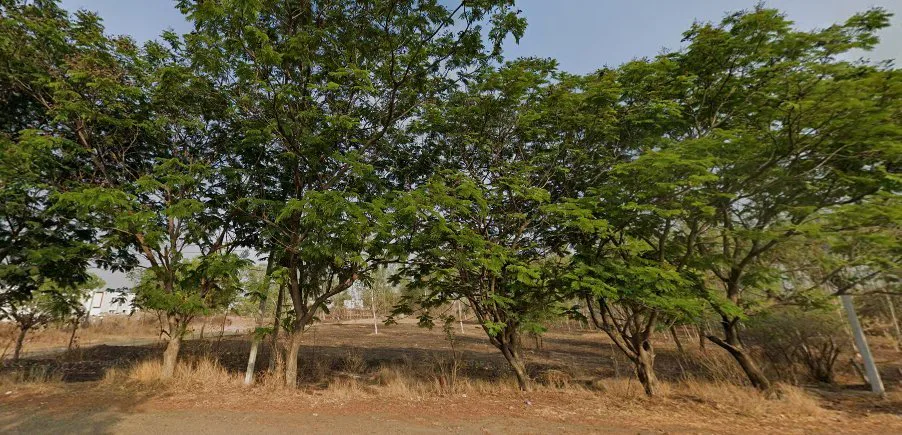 Outright 5 Acres 1 Gunta - Singapur