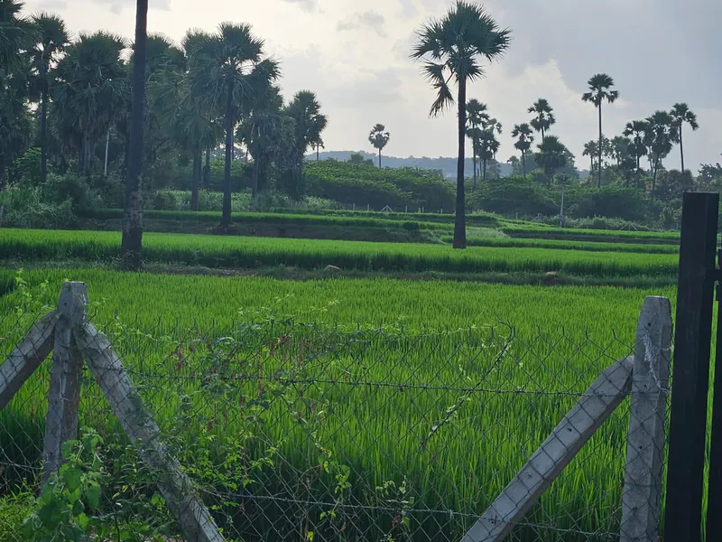 Outright 2 Acres - Guntapalle photo 3