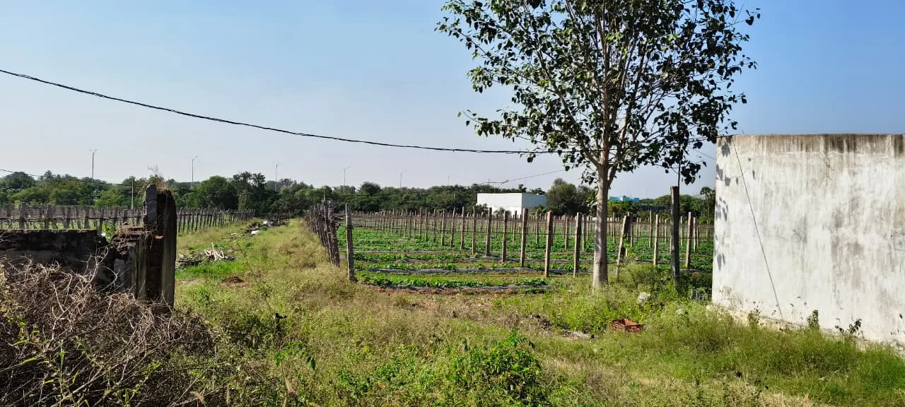 Outright 4 Acres 1 Gunta - rampalle
