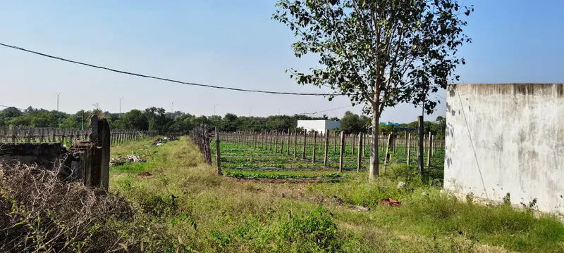 Outright 4 Acres 1 Gunta - rampalle