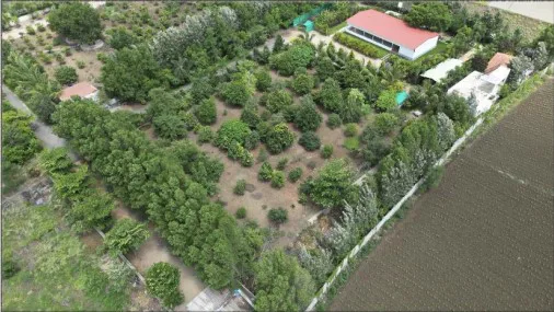 Outright 1 Acre 37 Guntas - Chandippa
