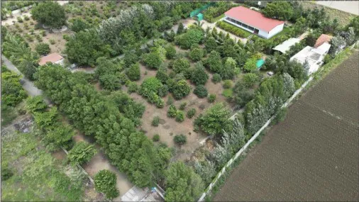 Outright 1 Acre 37 Guntas - Chandippa