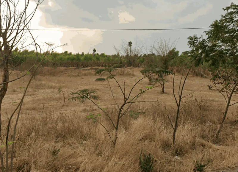 Outright 3 Acres 39 Guntas - Cheriyal photo 2