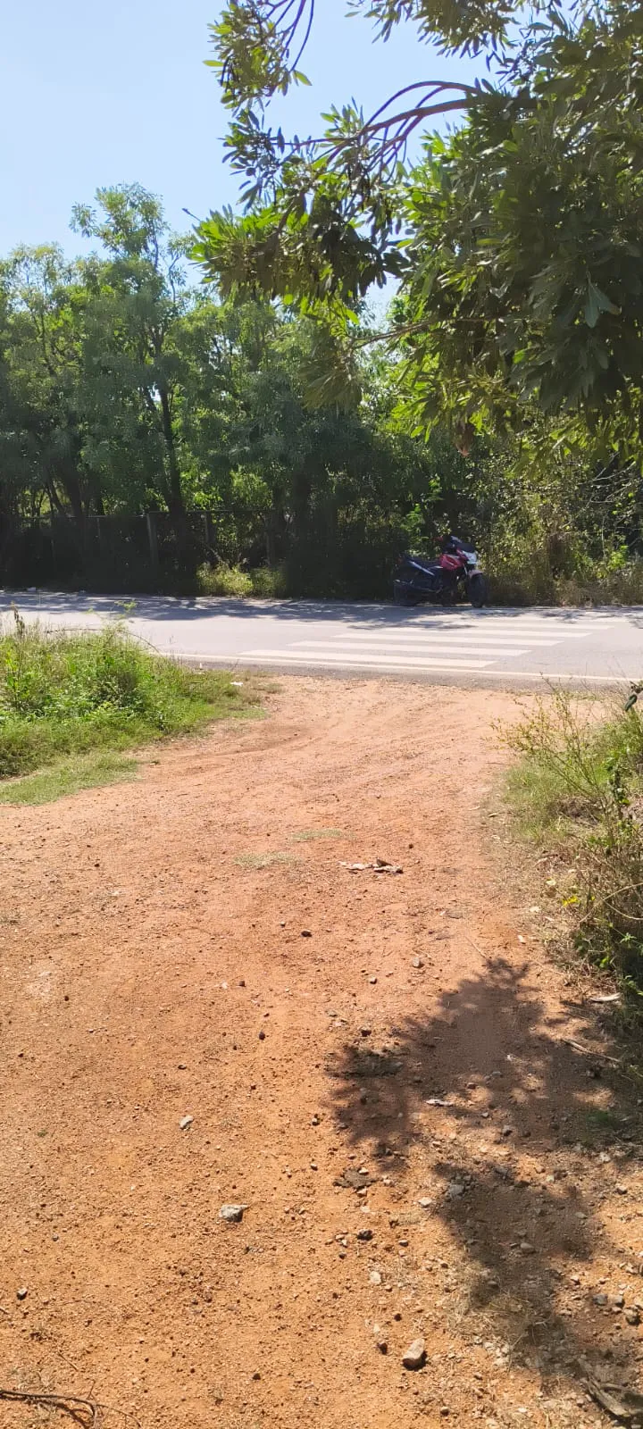 Outright 4 Acres 1 Gunta - rampalle photo 2
