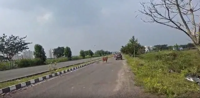Outright 12 Acres - Perumalthangal photo 3