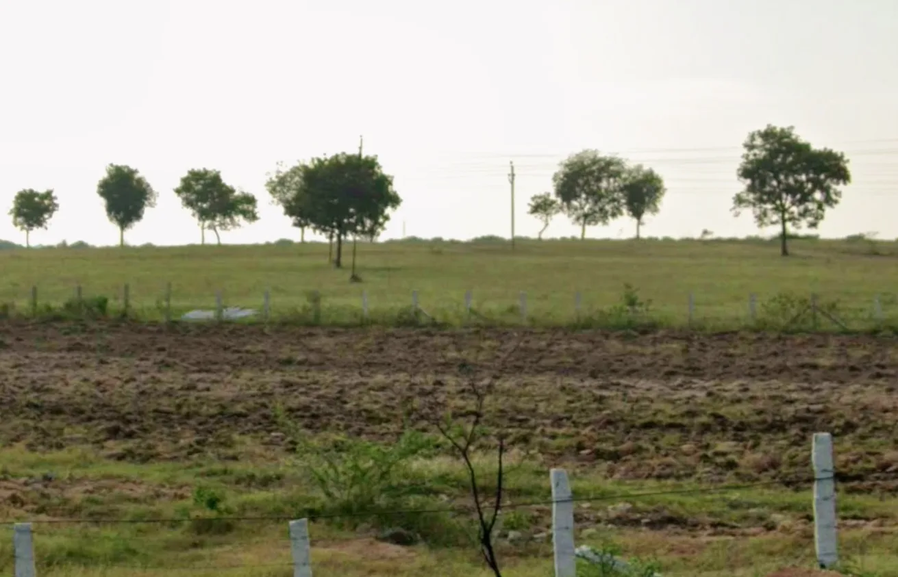 Outright 183 Acres 11 Guntas - Peddapur