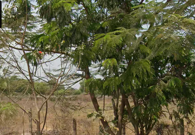 Outright 20 Acres 16 Guntas - Pudur photo 2