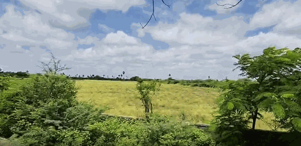Outright 7 Acres - Koheda