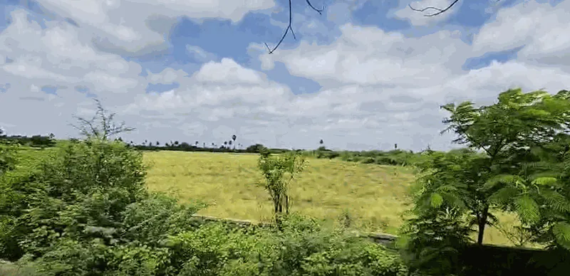 Outright 7 Acres - Koheda