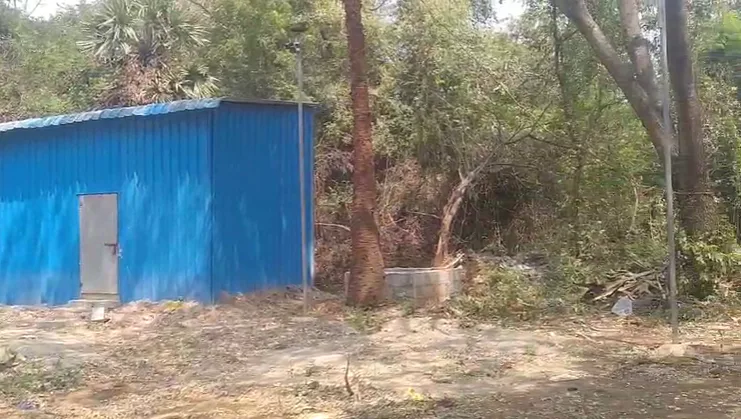Outright 3.904 Acres - Vengavasal (Ct)
