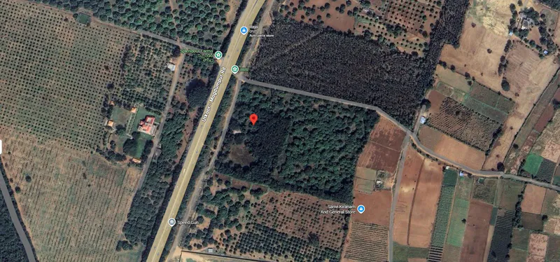 Outright 68 Acres 16 Guntas - Pamulaparthi photo 4