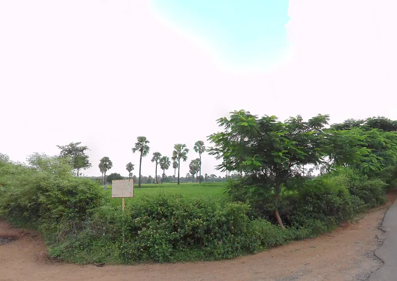 Outright 85 Acres - Kongara Kalan photo 2