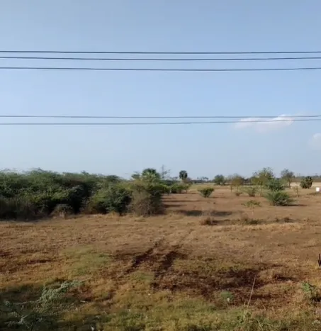 Outright 23 Acres - Vedal photo 1
