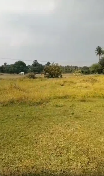 Outright 11 Acres - Kattavakkam