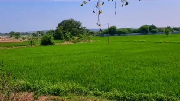 Outright 2 Acres - Cheeryal