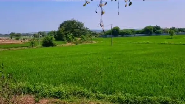 Outright 2 Acres - Cheeryal