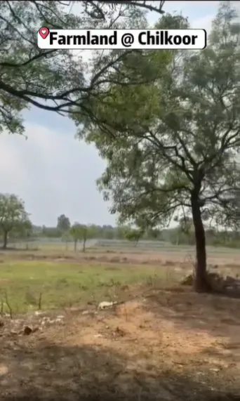 Outright 3 Acres 12 Guntas - Peddamangalaram photo 3
