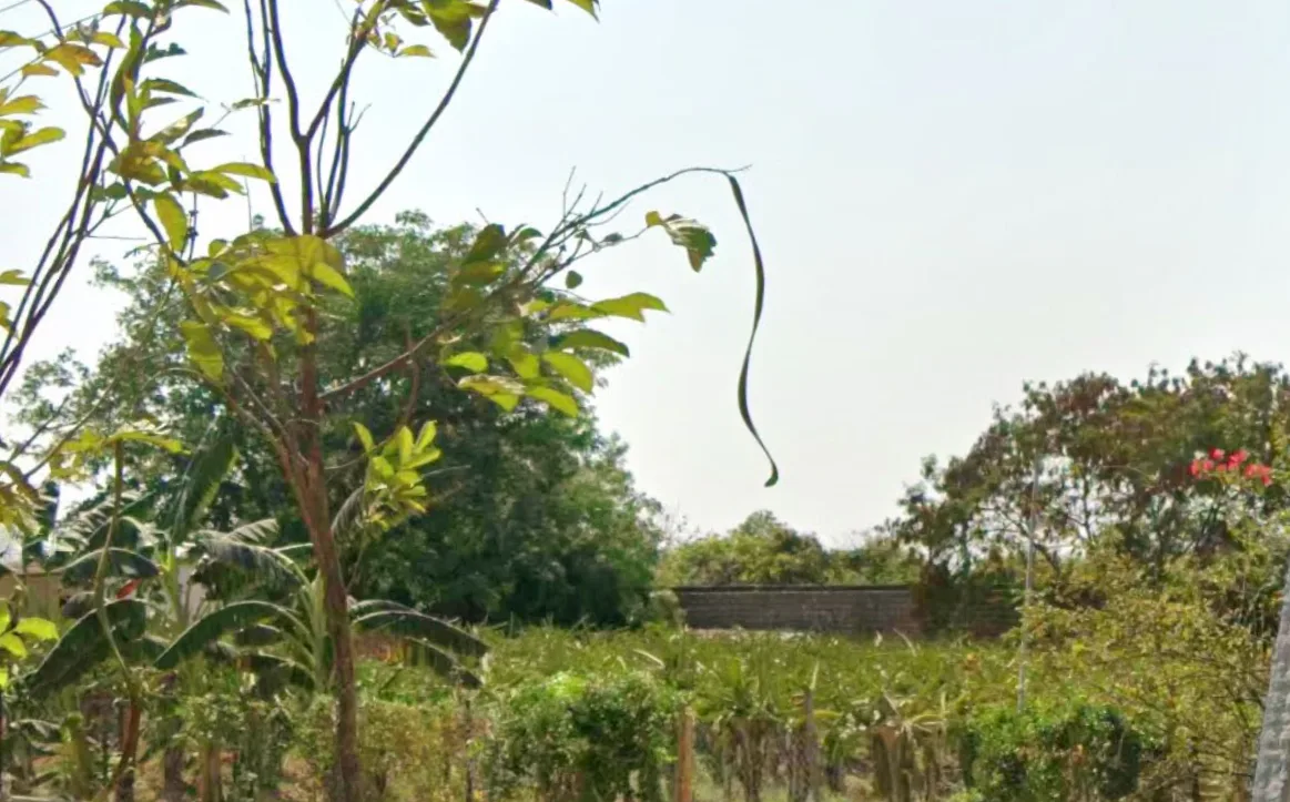 Outright 4 Acres 18 Guntas - Mokila