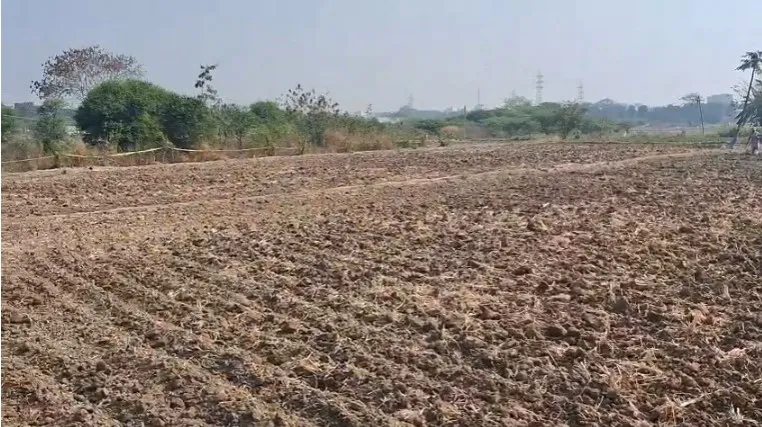 Outright 3 Acres 37 Guntas - Tellapur (Og) photo 2