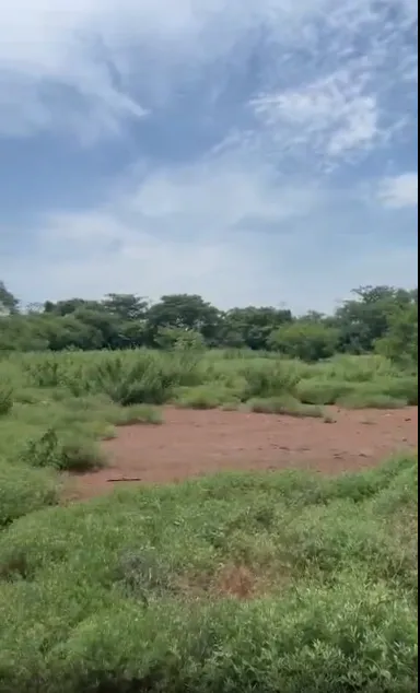 Outright 2.55 Acres - Ernavoor photo 4