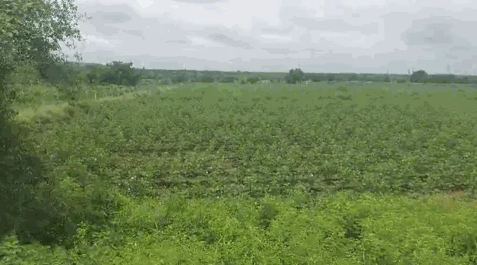 Outright 1 Acre - Julkal photo 2