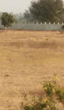 Outright 10 Acres 18 Guntas - Ramanuthula photo 2