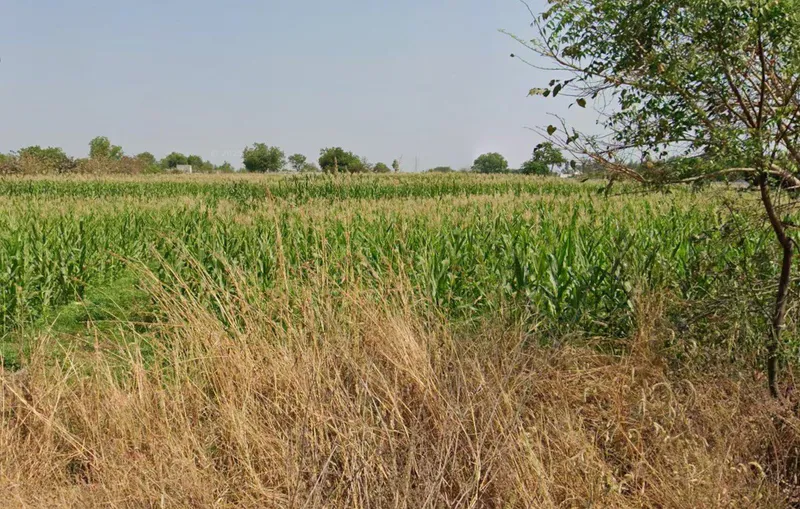 Outright 1 Acre 37 Guntas - Kondakal photo 2