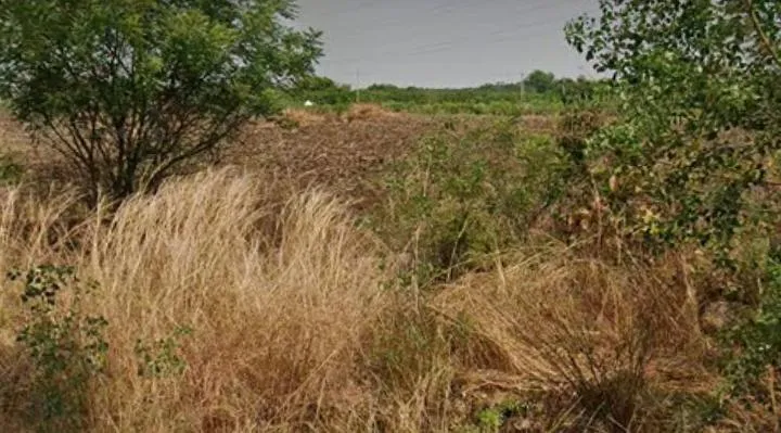 Outright 3 Acres 12 Guntas - Bhanur (Ct) photo 2