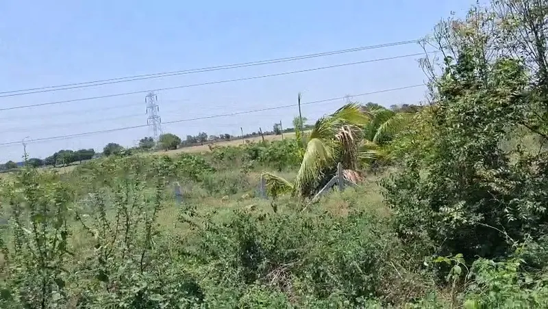 Outright 10 Acres 30.56 Guntas - Kandukur photo 3