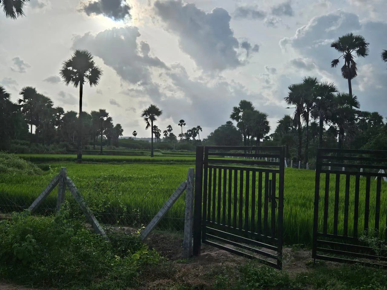 Outright 2 Acres - Guntapalle