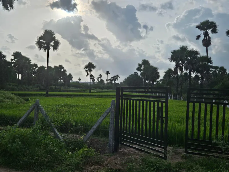 Outright 2 Acres - Guntapalle