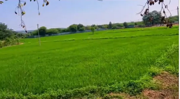 Outright 2 Acres - Cheeryal photo 2
