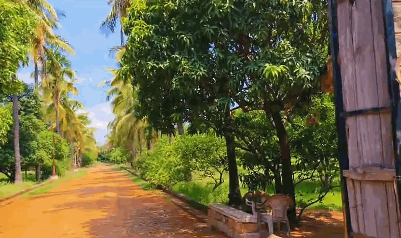 Outright 68 Acres 16 Guntas - Pamulaparthi photo 2