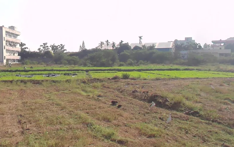 Outright 6 Acres 14 Guntas - Balapur
