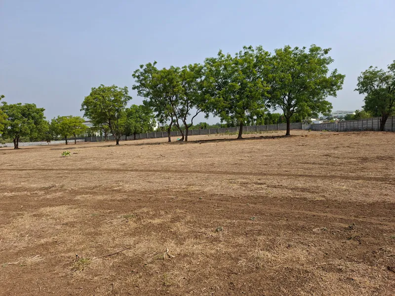 Outright 7 Acres 4 Guntas - Julkal photo 2