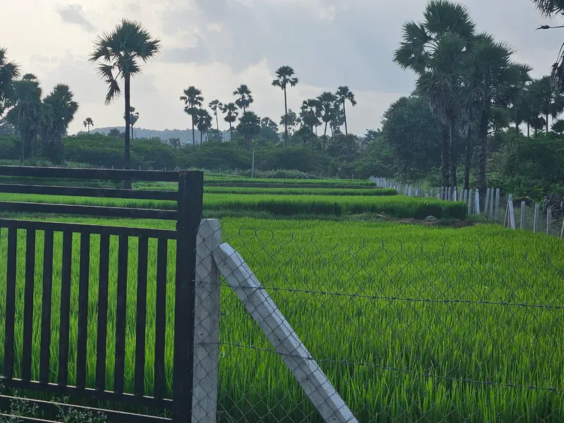Outright 2 Acres - Guntapalle photo 2