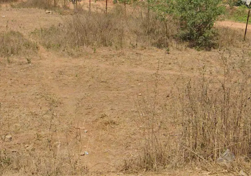 Outright 7 Acres 28 Guntas - Mamidipalle