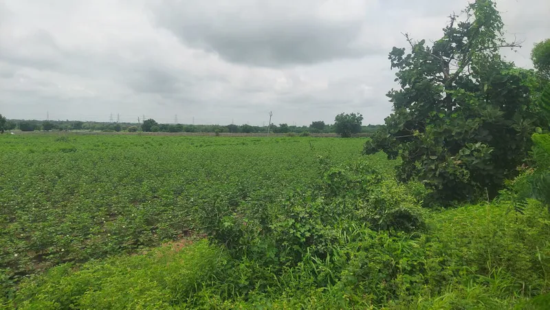 Outright 1 Acre - Julkal photo 3
