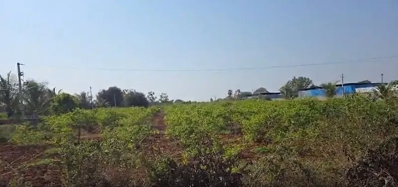 Outright 1 Acre 36 Guntas - Chinna Mangalaram