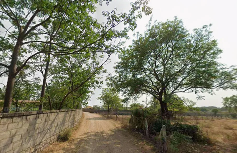 Outright 3 Acres 12 Guntas - Peddamangalaram