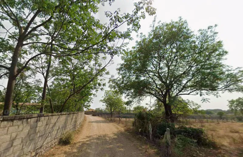 Outright 3 Acres 12 Guntas - Peddamangalaram