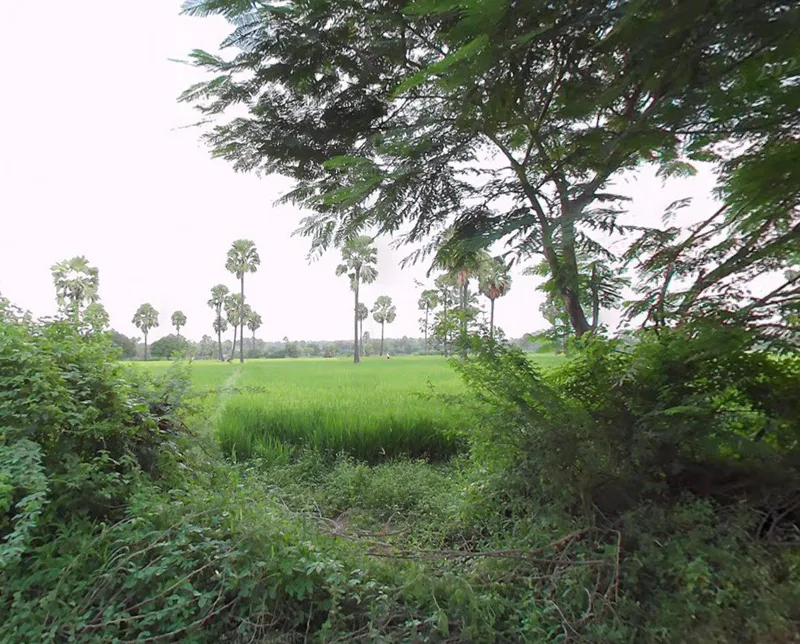 Outright 85 Acres - Kongara Kalan