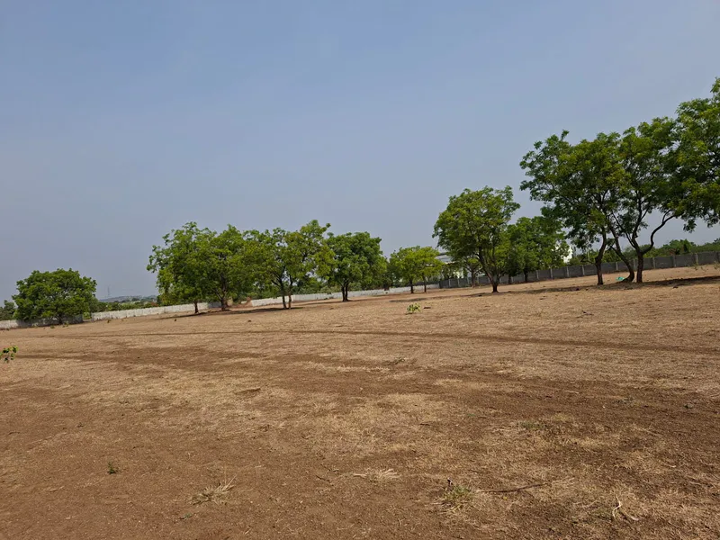 Outright 7 Acres 4 Guntas - Julkal photo 3