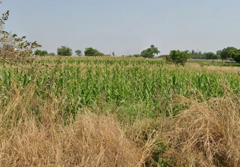 Outright 1 Acre 37 Guntas - Kondakal