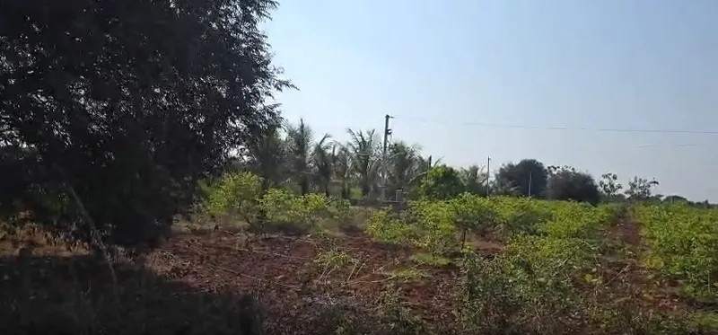 Outright 1 Acre 36 Guntas - Chinna Mangalaram photo 2