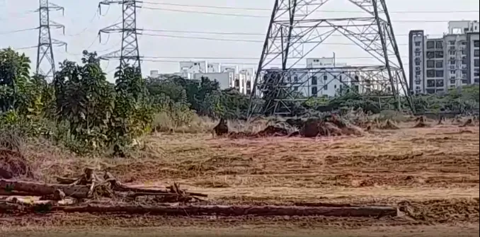 Outright 5 Acres - Siruseri photo 3