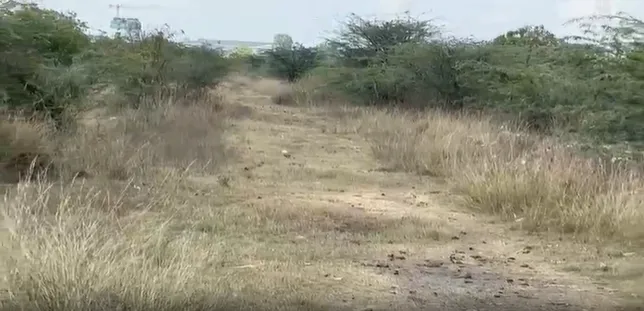Outright 33 Acres - Sengadu photo 3