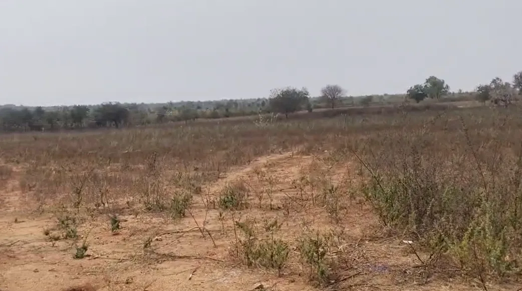 Outright 12 Acres 10 Guntas - Maheswaram