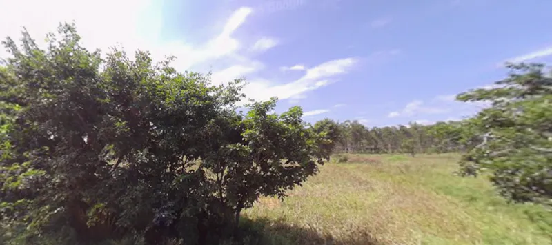 JV Apartments - 2 Acres - 2 Acres